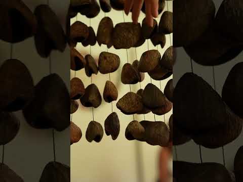 Load video: Rainfall Chimes – Natural Seed Chime