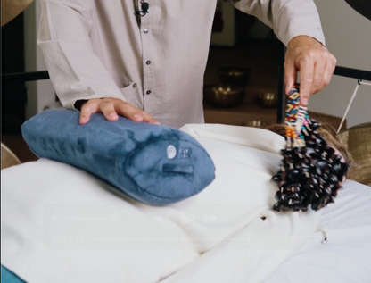 Viset Pillow + Soma Seeds Set