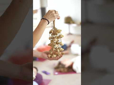 Whisper Seeds – Natural Seed Shaker