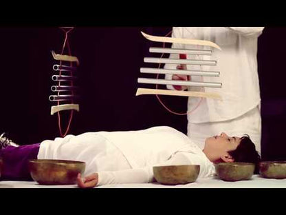 Samafon Allegro - sami