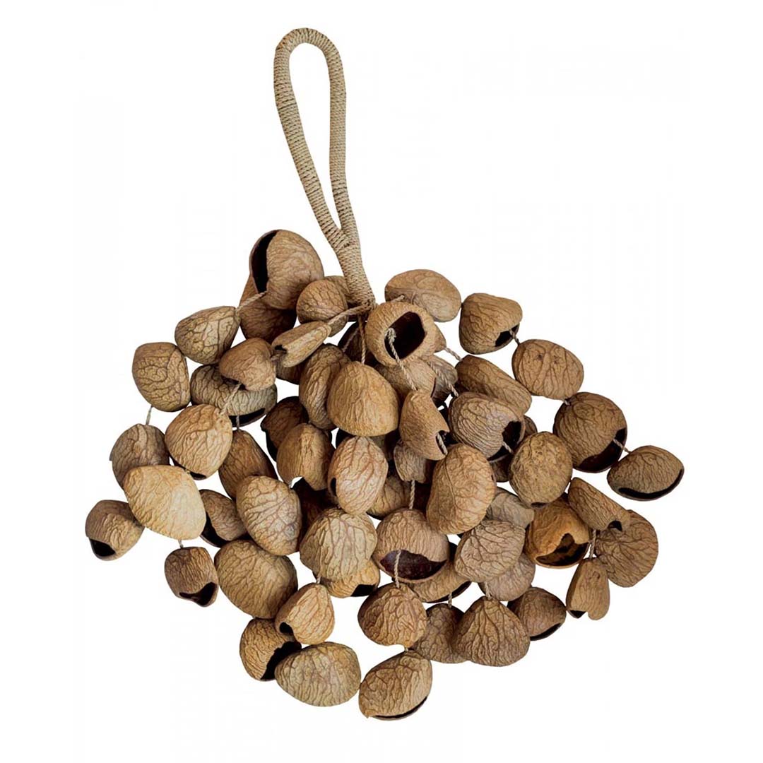 Rainfall Seeds – Shaker en graines naturelles
